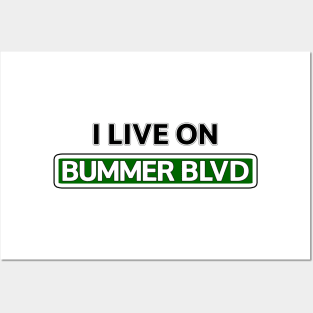 I live on Bummer Blvd Posters and Art